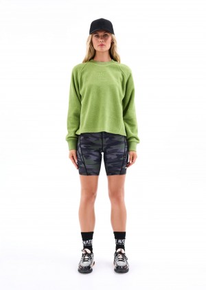 Peridot P.E Nation Oakmont Sweat | LJGEFMV-92
