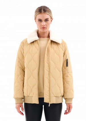 Sand P.E Nation Dyno Jacket | QJDINOG-92